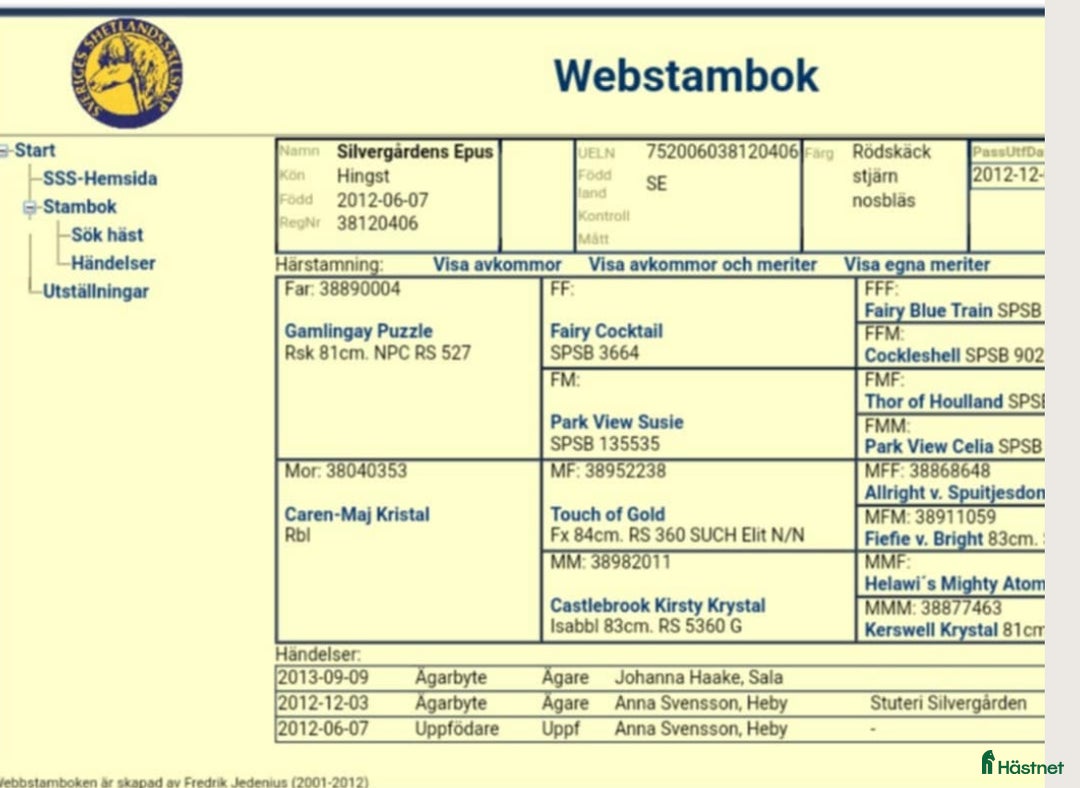 Övrigt hästar till salu: Minishettis hingst i Sala - Annons 2