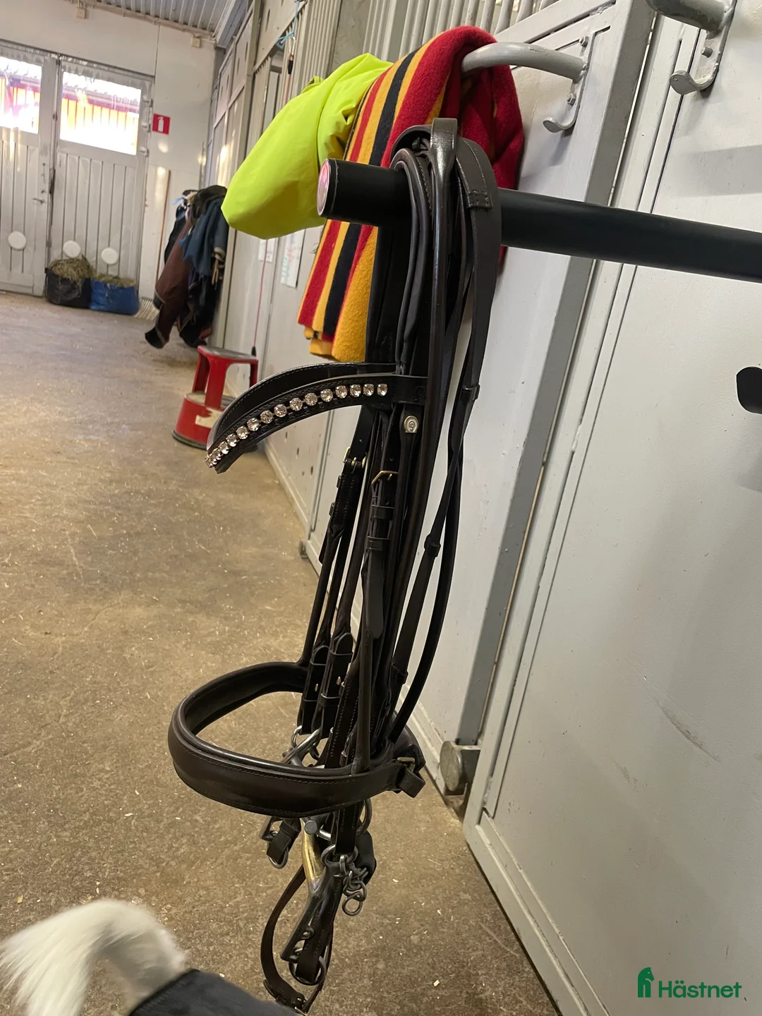 Träns hästutrustning till salu: Mycket fint OS München FG kandar  - Annons 5