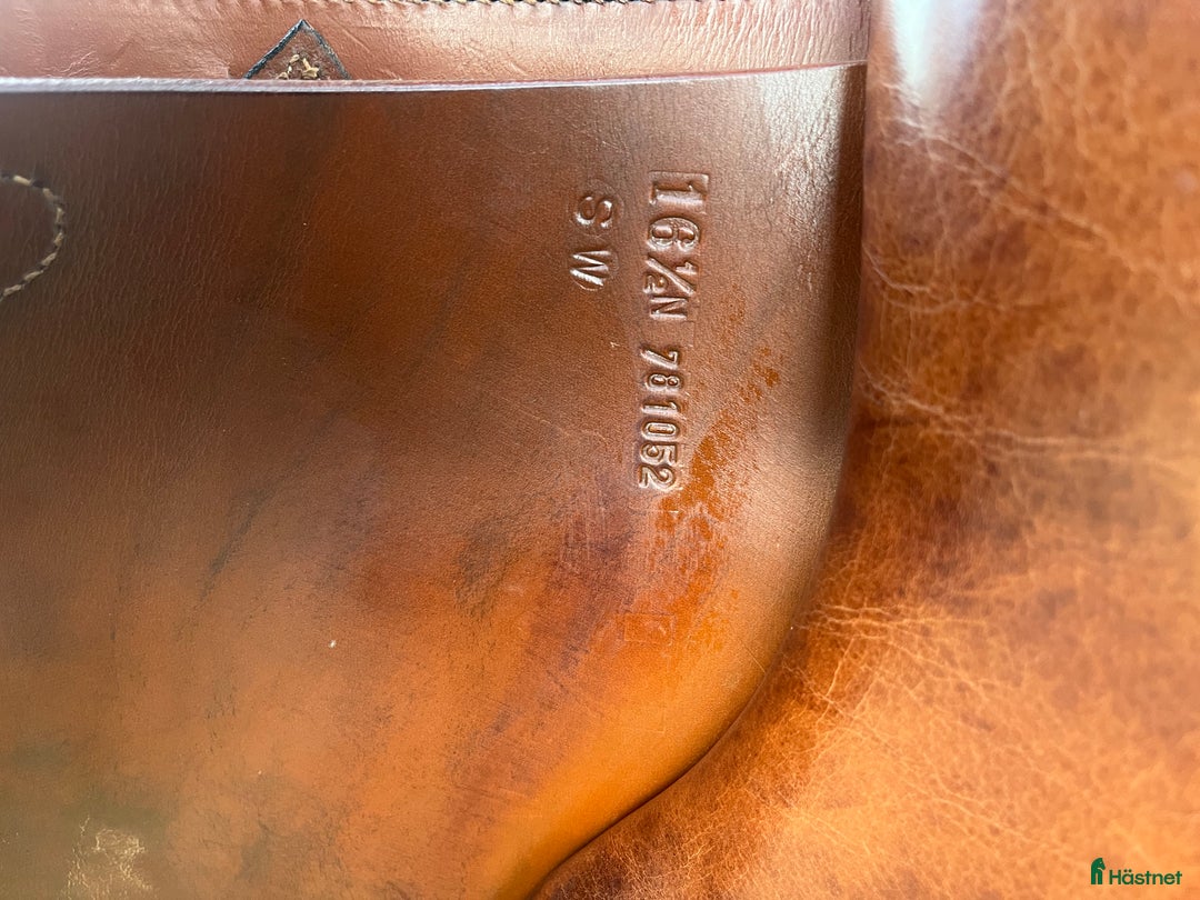 Sadlar hästutrustning till salu: Equipe hoppsadel  i Örebro - Annons 7