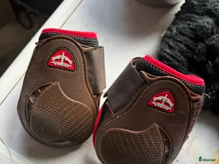 Benskydd hästutrustning Verdeus i Vejbystrand - Annons 21