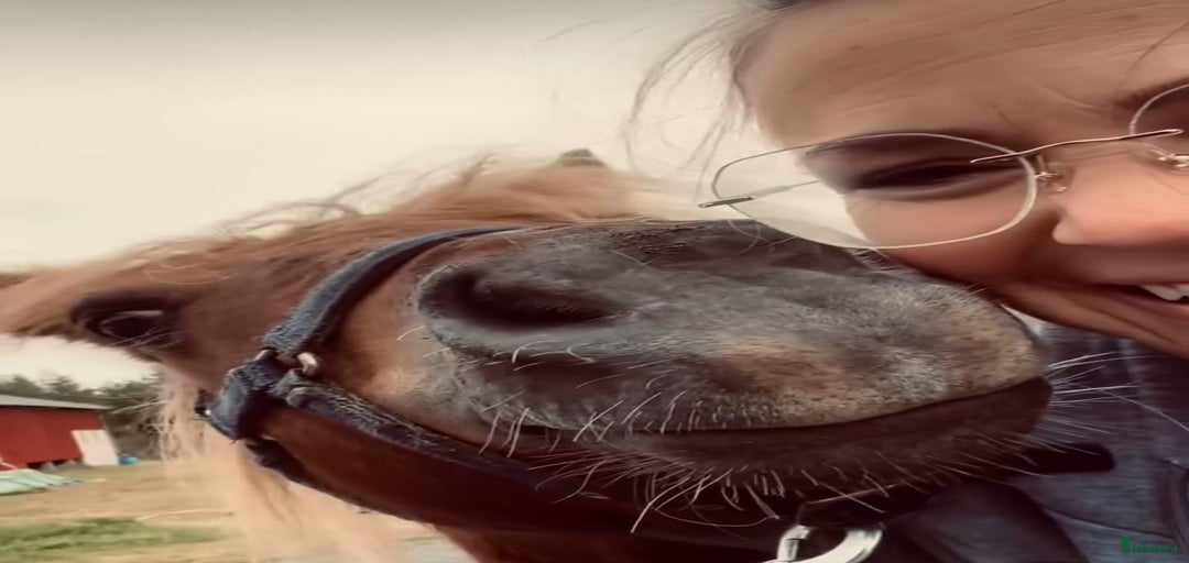 Galleribild {{count}}