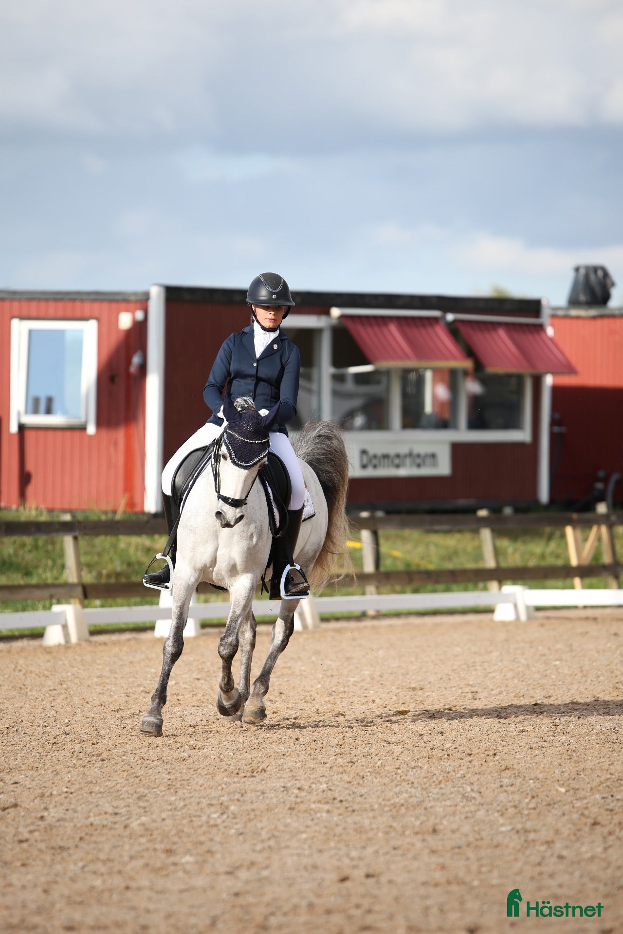  hästar Fin dressyr/allroundponny - Annons 1