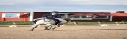 Dressyr hästar till salu: Fin dressyr/allroundponny - Annons 1