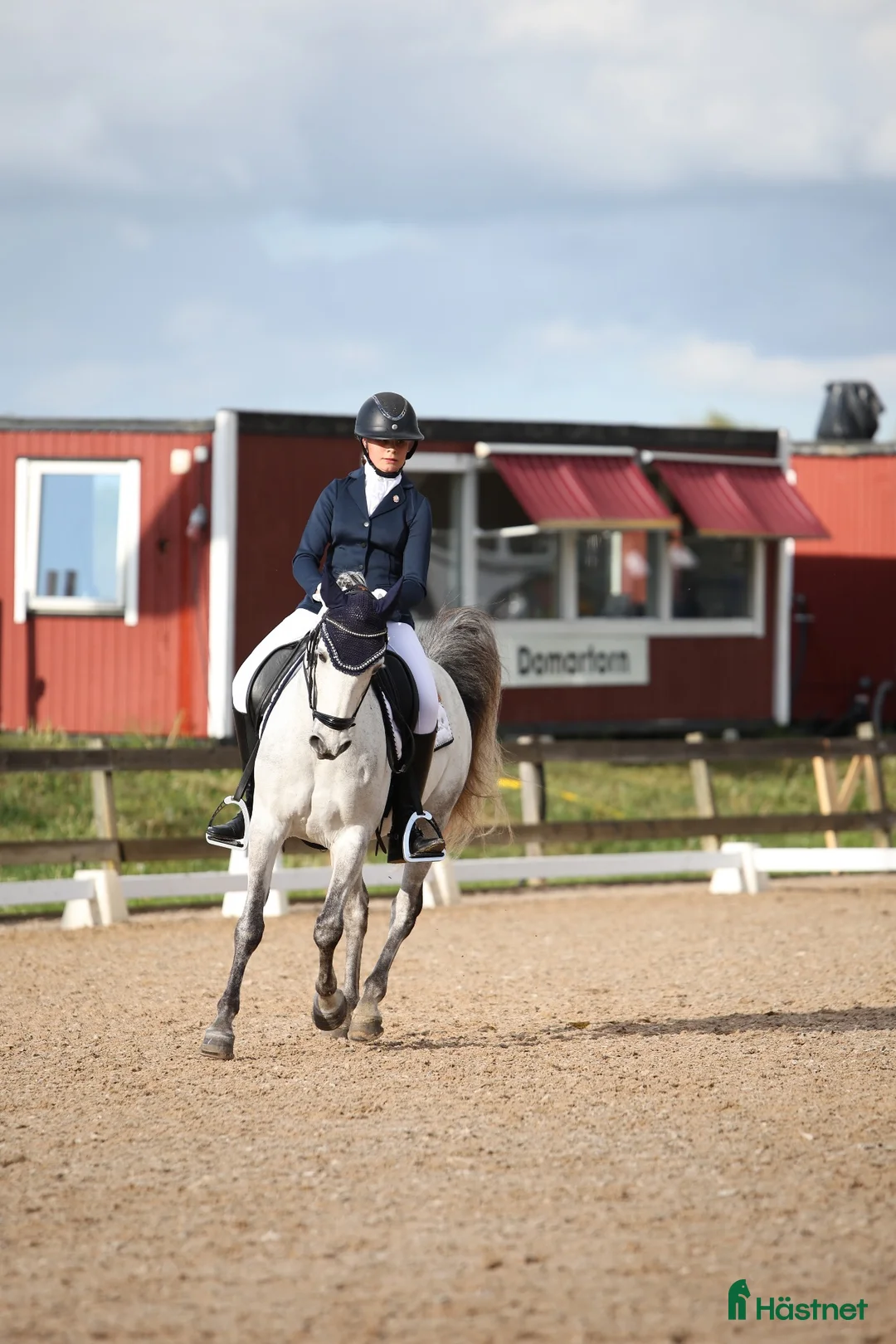 Dressyr hästar till salu: Fin dressyr/allroundponny - Annons 1