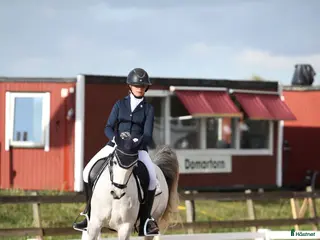 hästar Fin dressyr/allroundponny - Annons 1