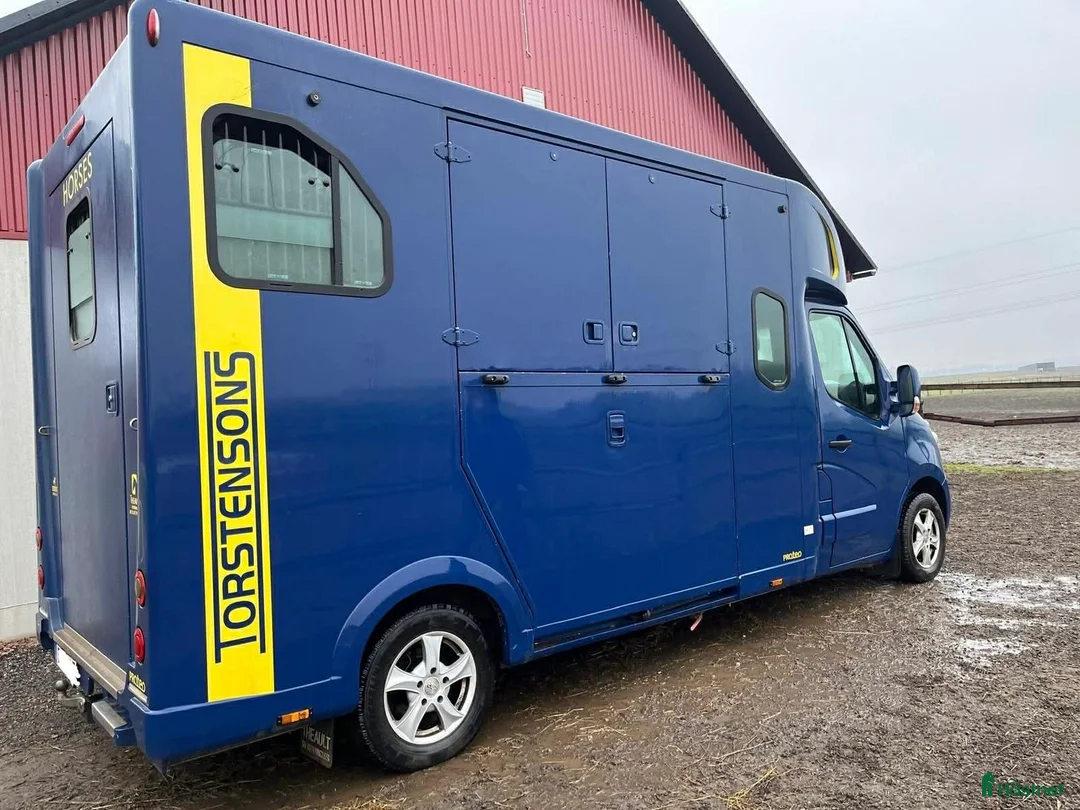 Hästlastbilar  fordon & transport till salu: Theault Proteo  i Köping - Annons 2