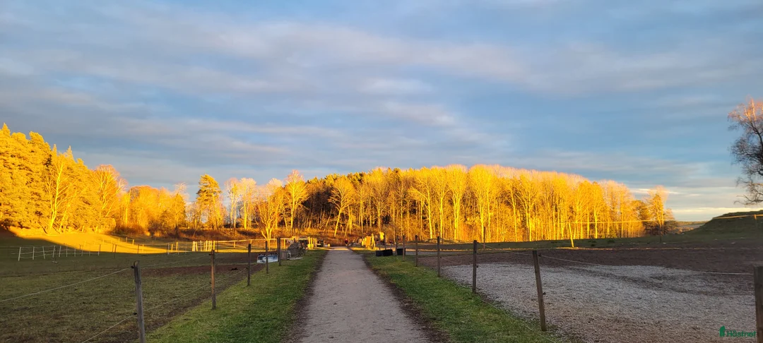  stallplats finnes: Stallplats på komplett anläggning i Grödinge - Annons 1