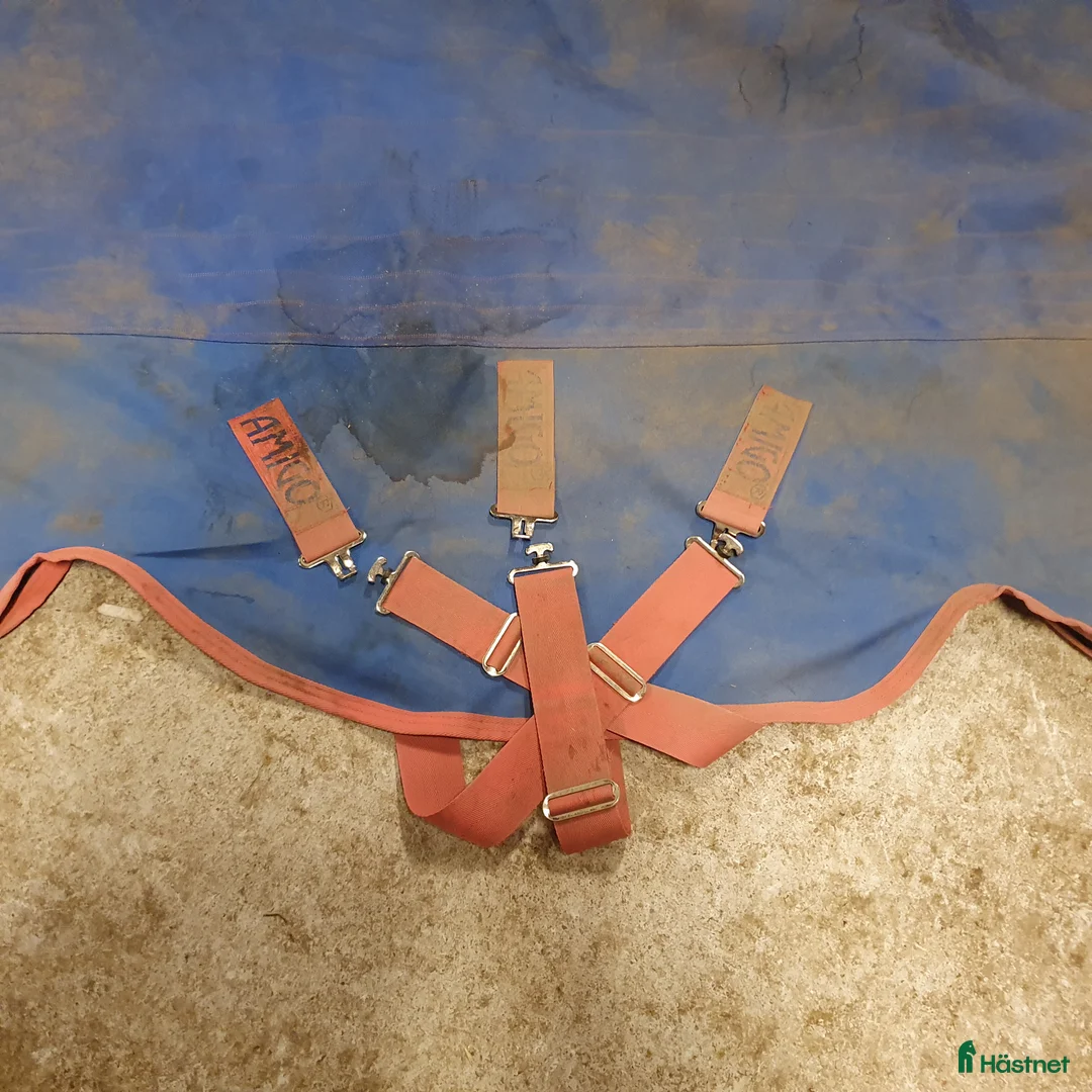 Täcken hästutrustning till salu: Amigo Bravo 12 plus 250g strl 6.3/140 - Annons 6