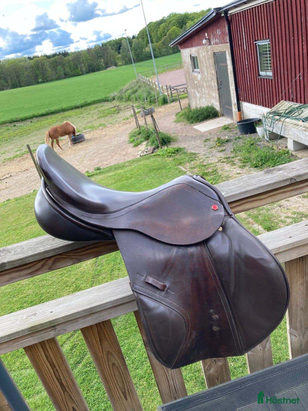 Sadlar hästutrustning till salu: Albion k2 i Stehag - Annons 3