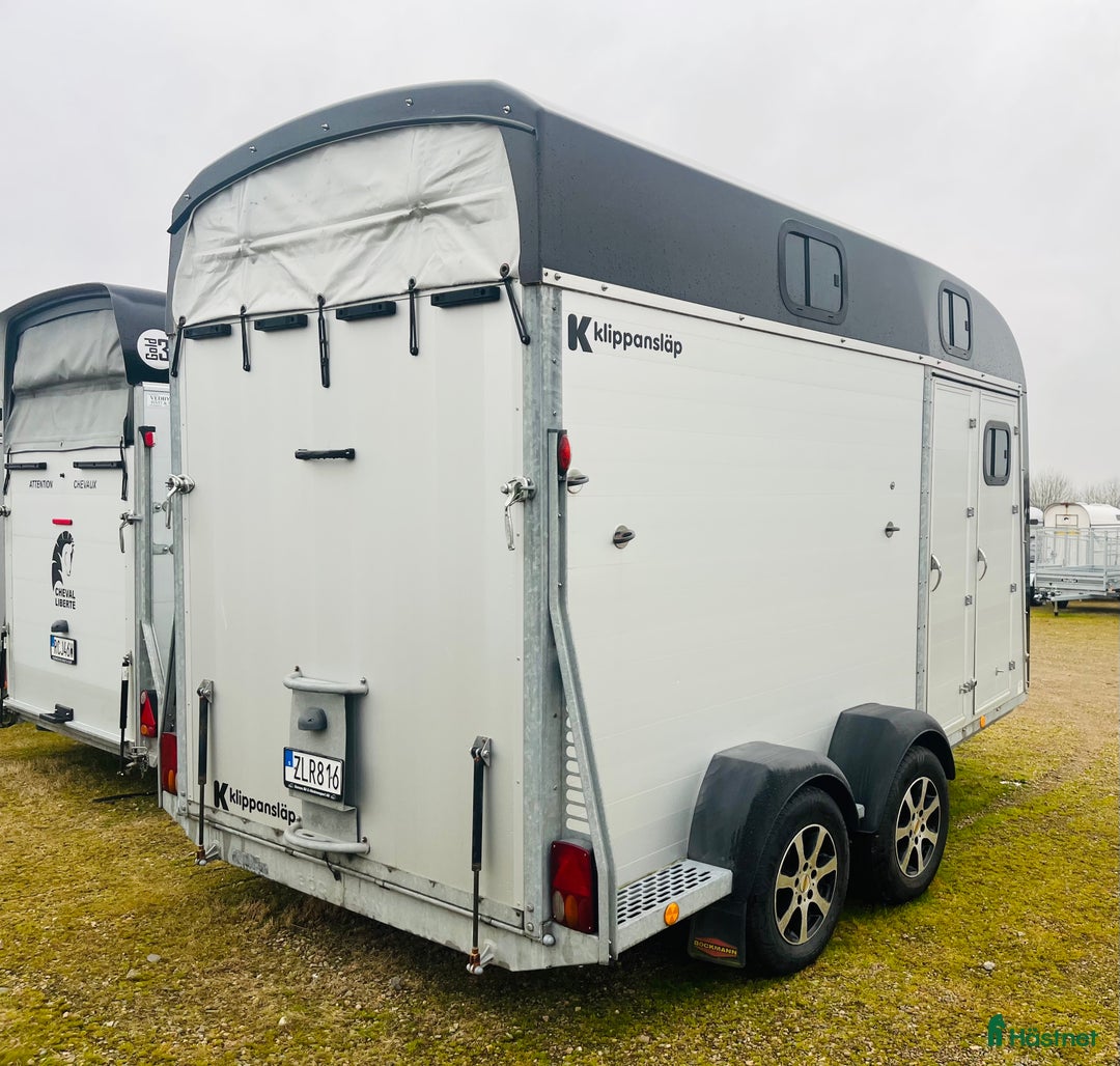 Hästtransporter  fordon & transport till salu: Böckmann Big Portax i Klippan - Annons 3