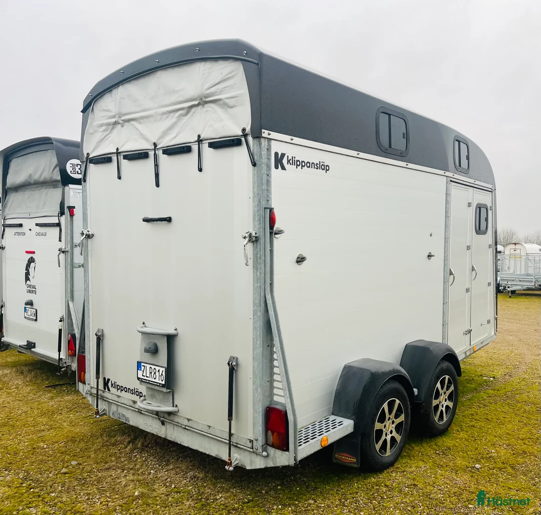 Hästtransporter  fordon & transport till salu: Böckmann Big Portax i Klippan - Annons 3