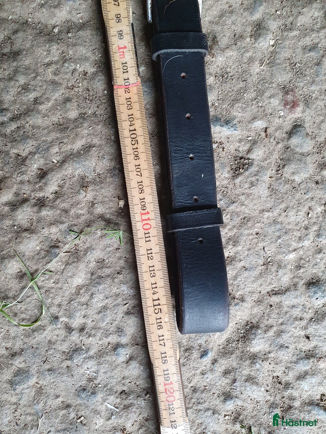 Övrig Hästutrustning hästutrustning till salu: Martingal i Näsåker - Annons 3