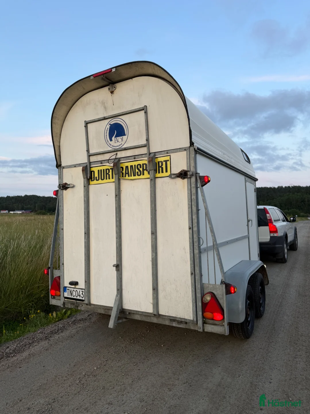 Hästtransporter  fordon & transport till salu: 600kg lastvikt på B-kort dubbla sadelkammare - Annons 9