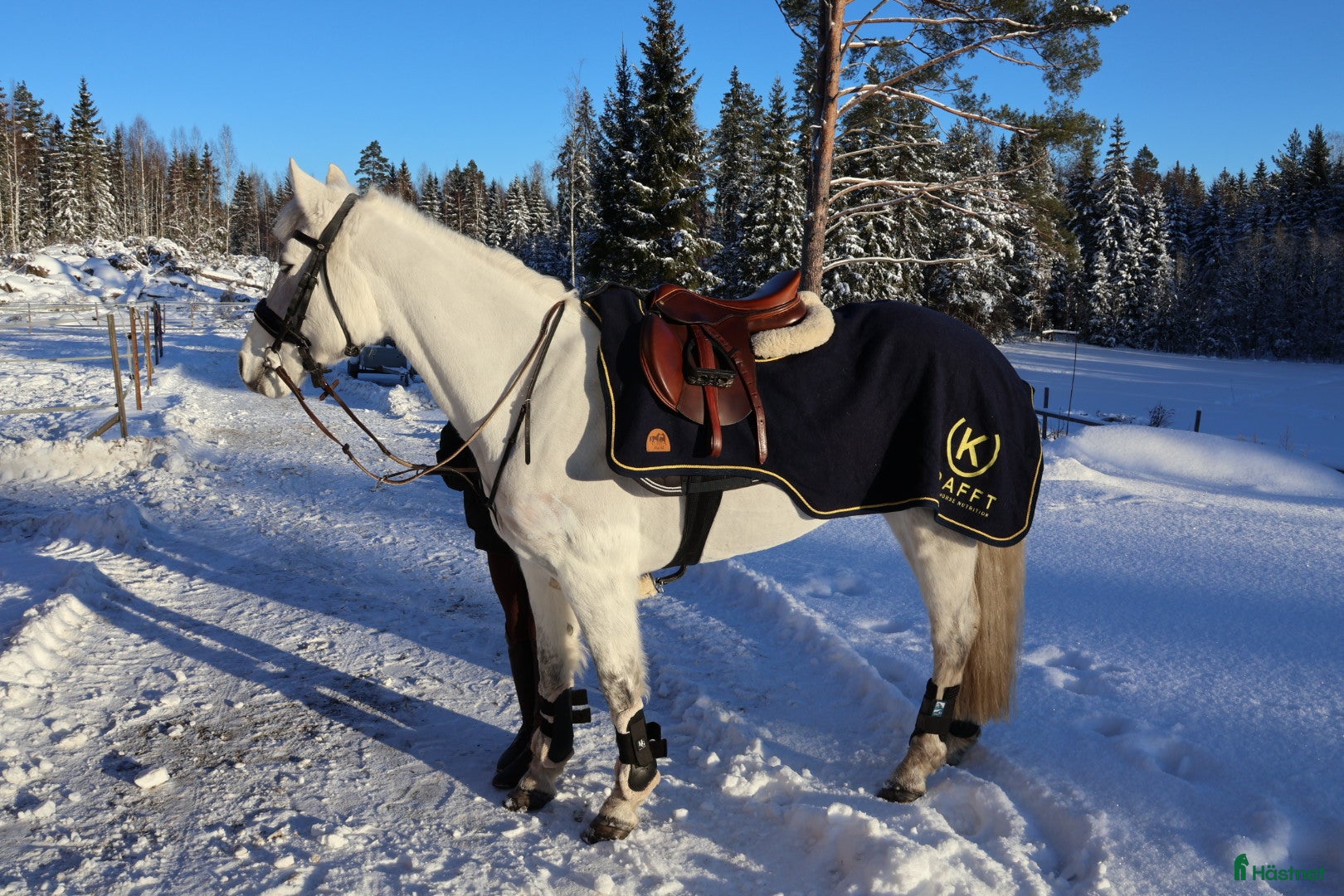  hästar ENORM KAPACITET - HOPP PONNY! - Annons 18