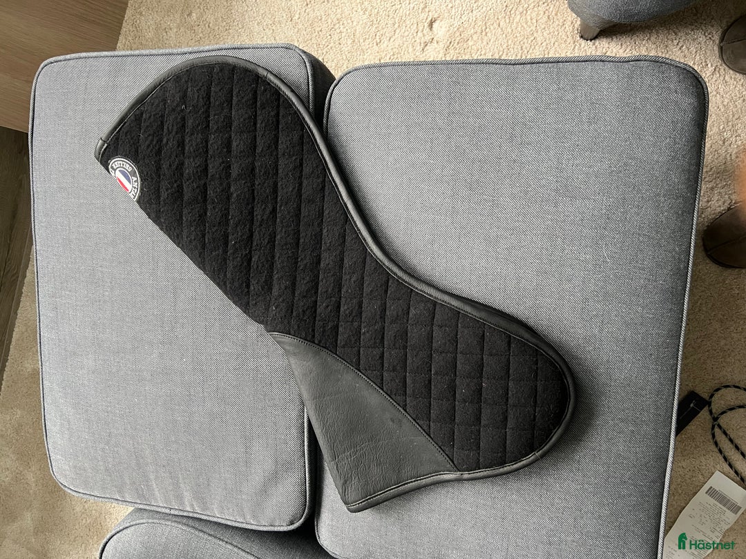 Sadeltillbehör hästutrustning till salu: Antares pad i Borlänge - Annons 4