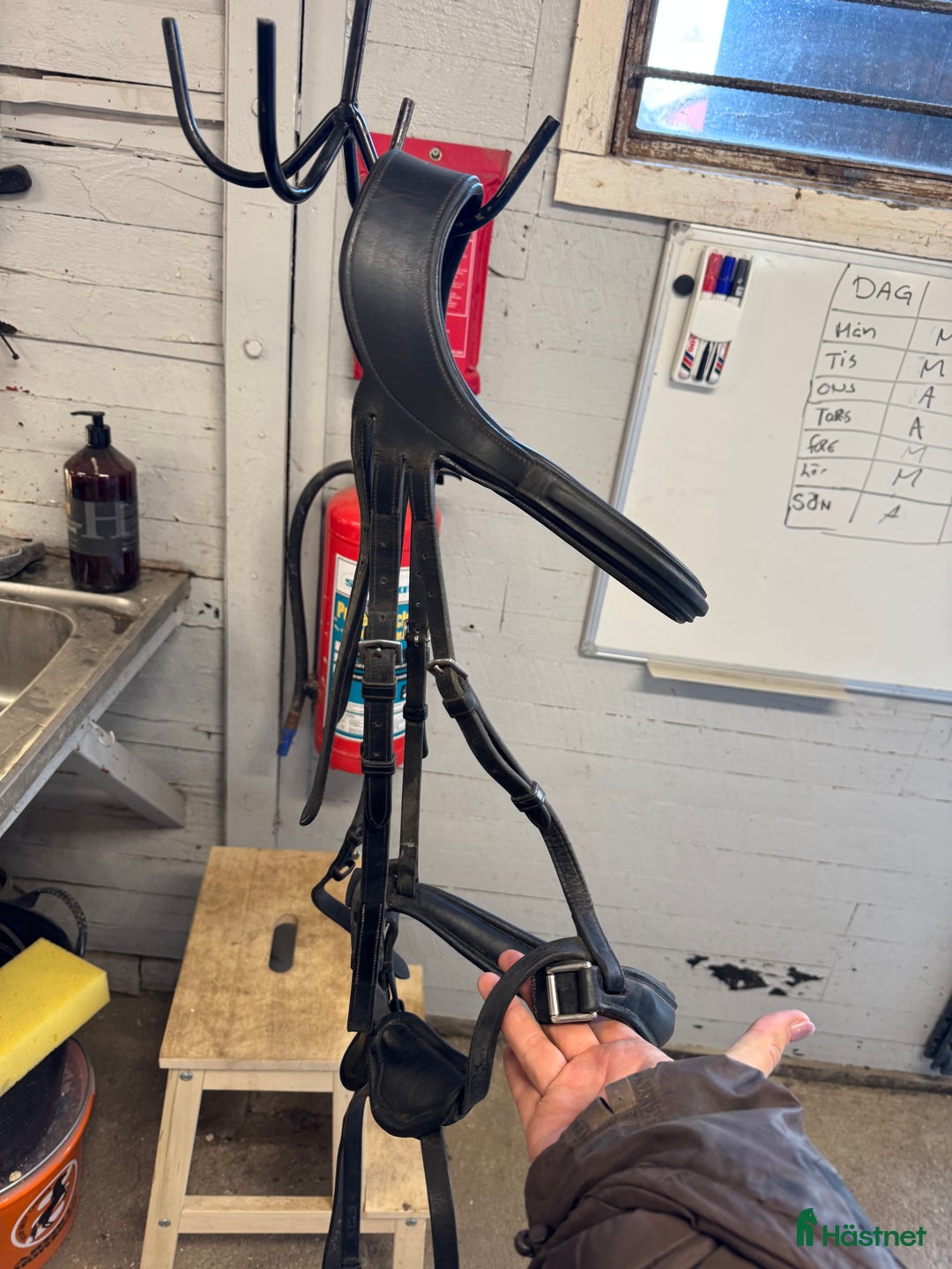 Träns hästutrustning till salu: Dyon difference träns i Lyckeby - Annons 5