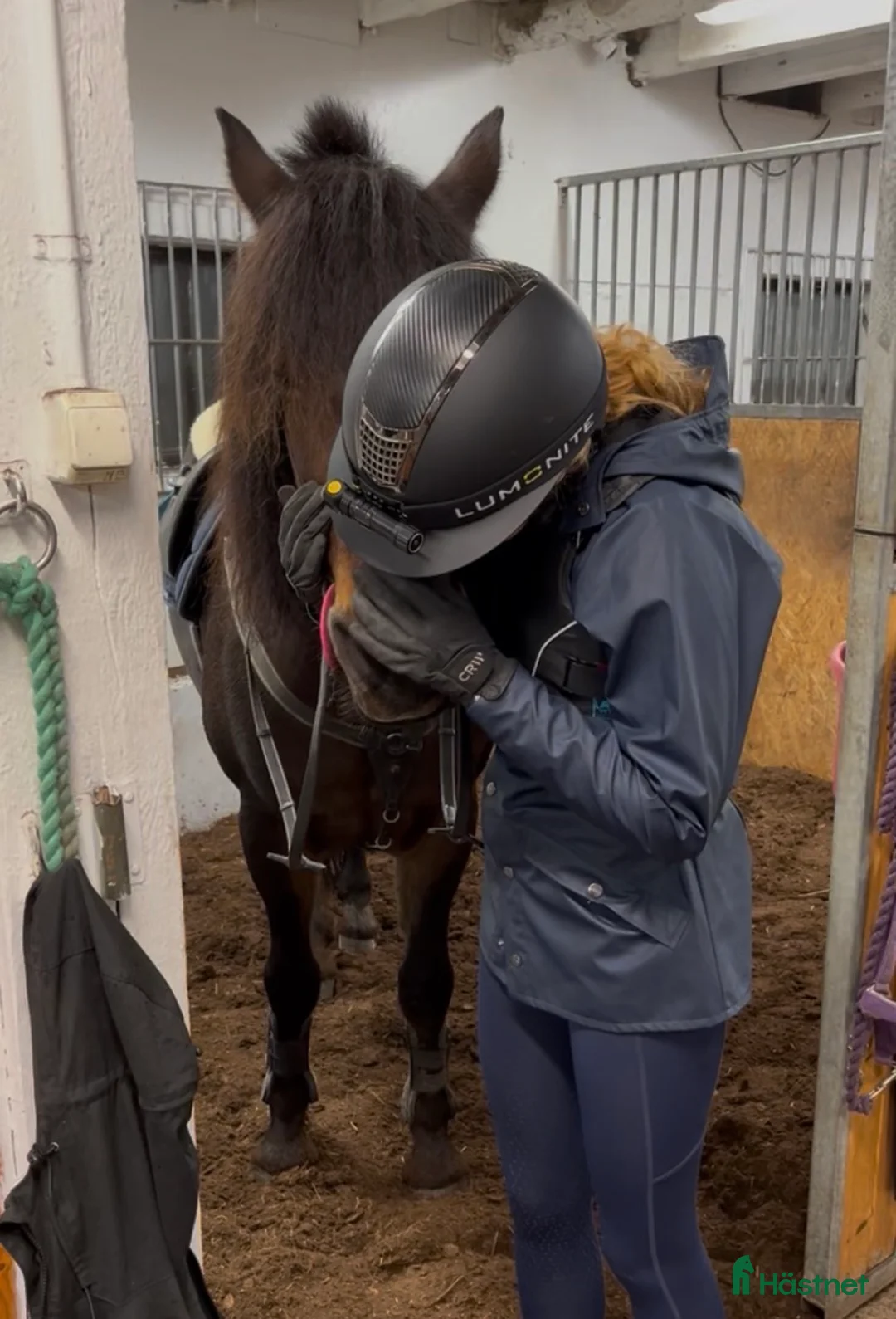  medryttarhäst sökes: Medryttarhäst sökes i Stockholm  i Stockholm - Annons 2