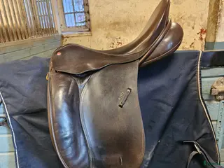 Sadlar hästutrustning Dressyrsadel Wellington Elite - Annons 2