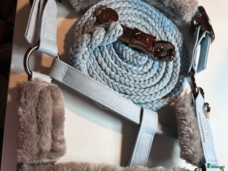 Övrig Hästutrustning hästutrustning till salu: Eskadron Platinum Grimma& Grimskaft Shettis i Åmotsbruk - Annons 1