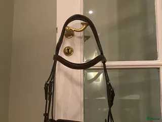 Träns hästutrustning Helt nytt dressyrträns från Dyon - Annons 24