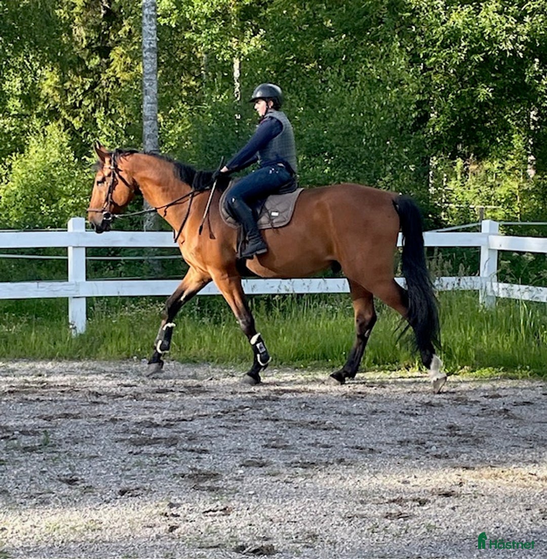  stallplats finnes: Uthyres stall med lösdrift - Strängnäs/Björsund i Strängnäs - Annons 3