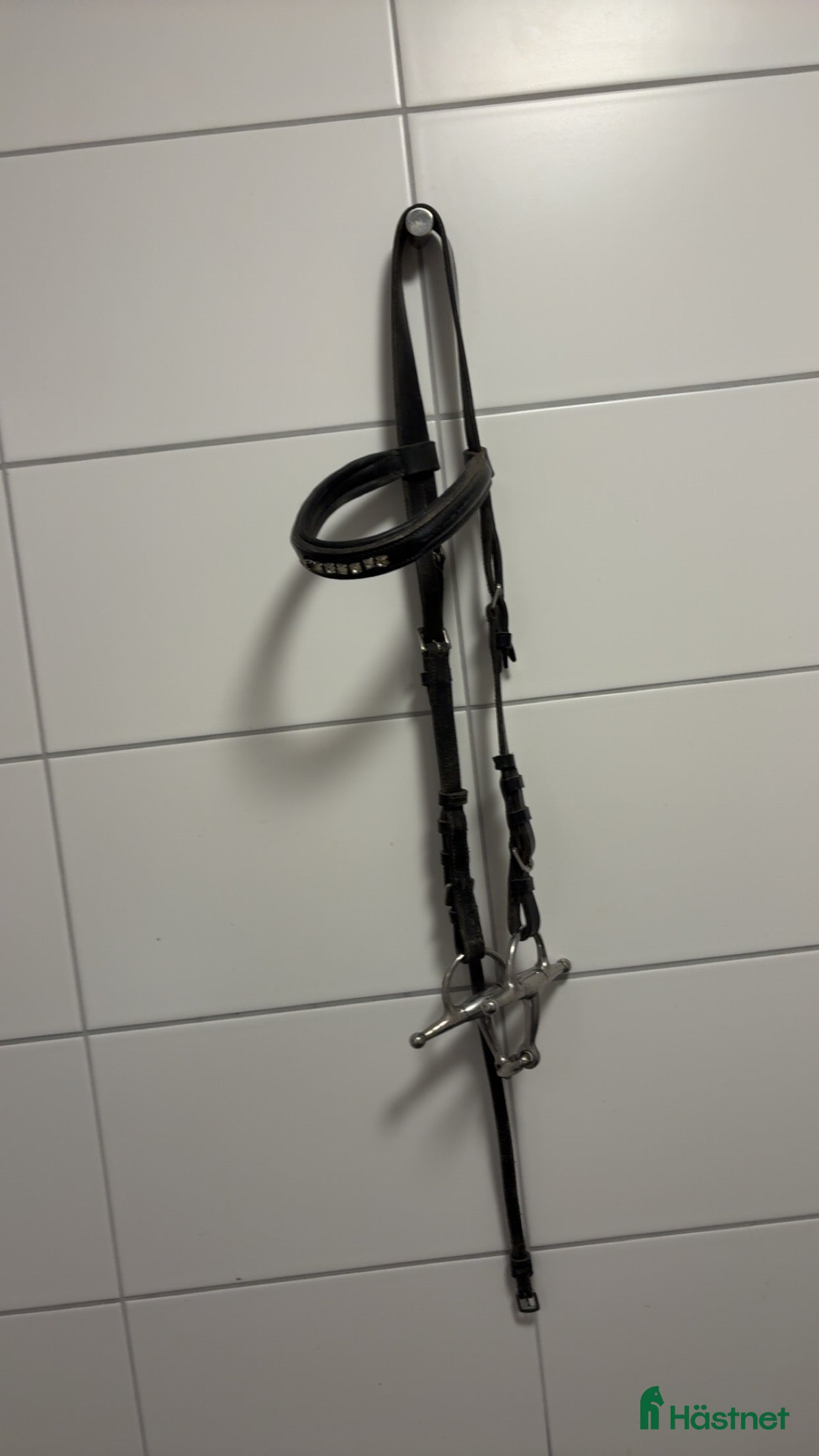 Träns hästutrustning Träns  - Annons 2