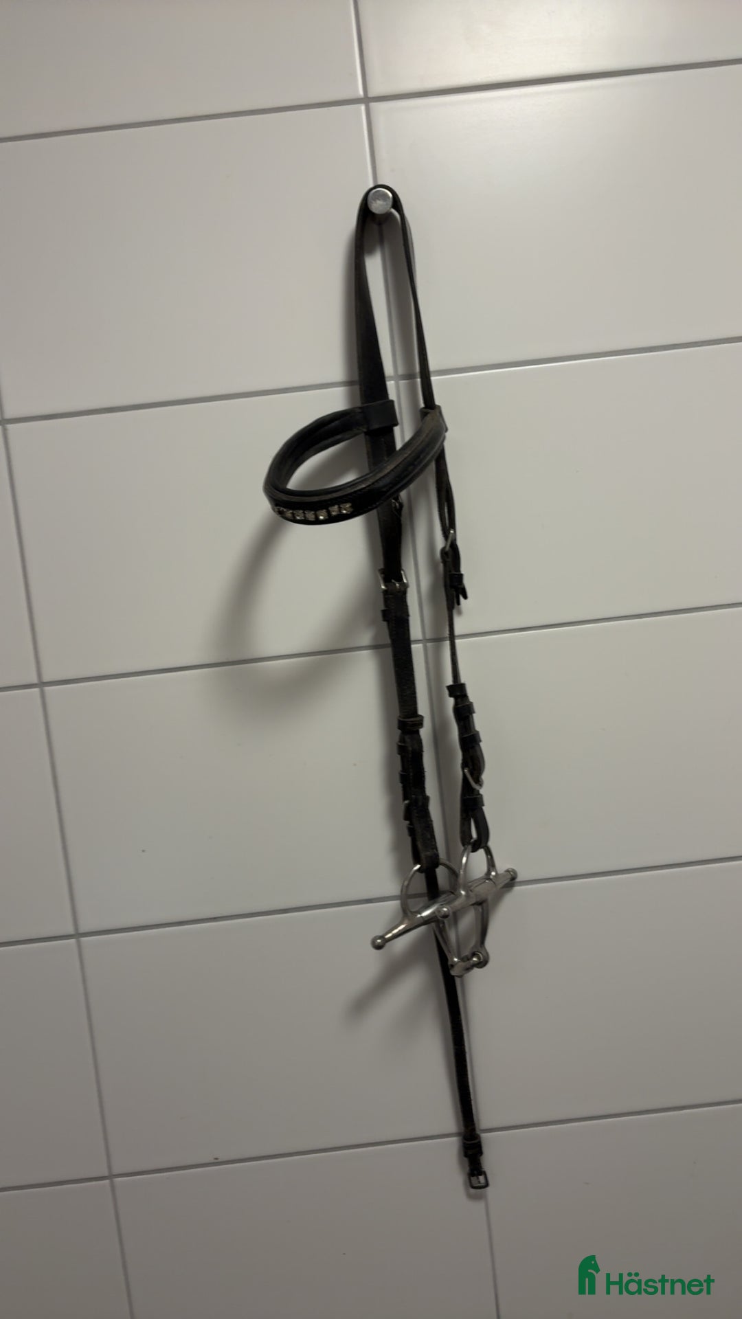 Träns hästutrustning till salu: Träns  i Nyköping - Annons 3