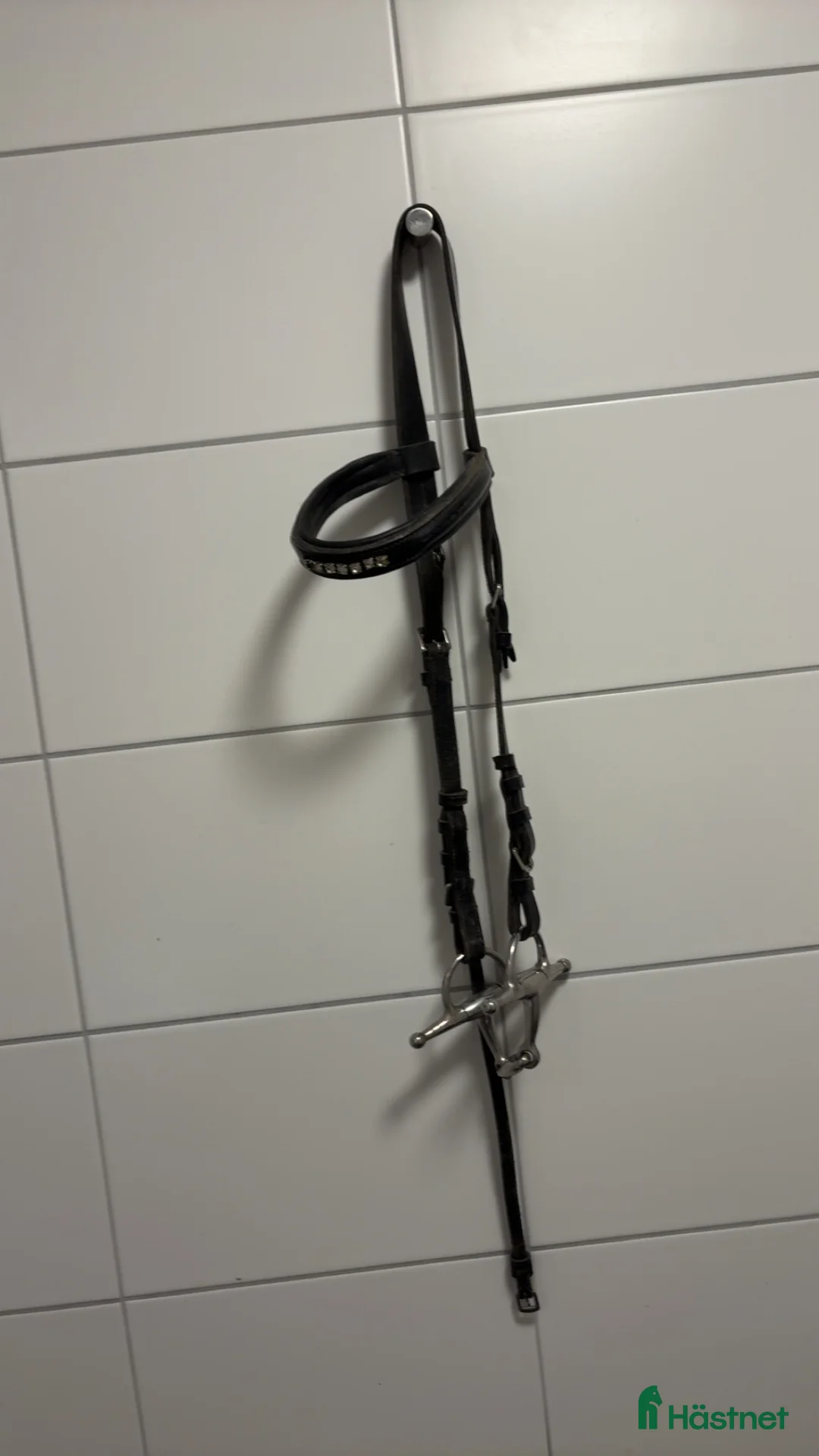 Träns hästutrustning till salu: Träns  - Annons 3