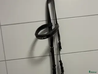 Träns hästutrustning Träns - Annons 2