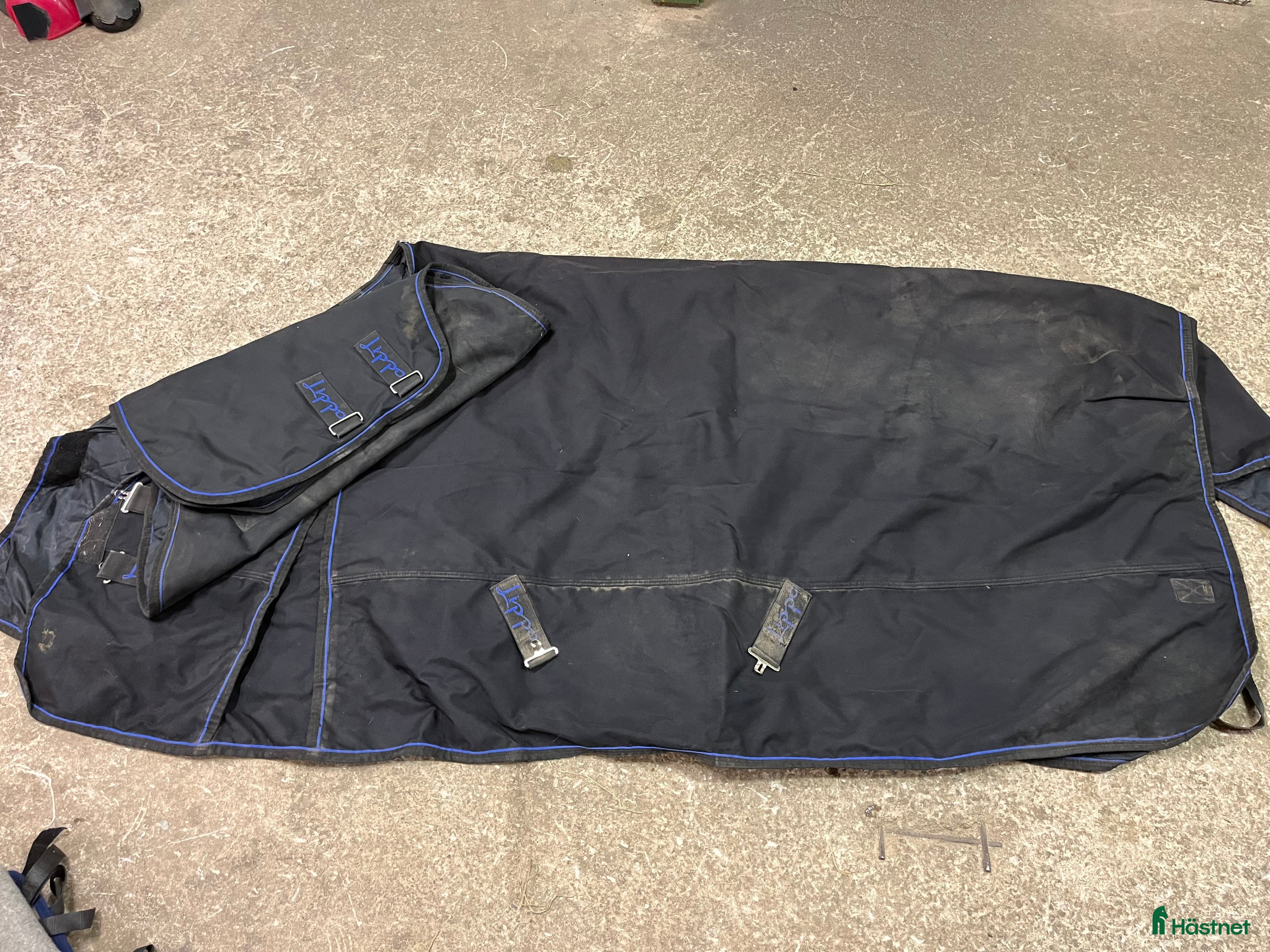 Täcken hästutrustning Lippo 200g med hals  i Borås - Annons 13