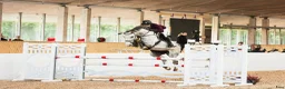Hoppning hästar till salu: Fantastisk hest med godt mind set - Annons 1