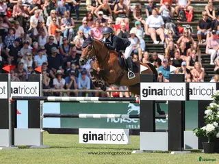 hästar Fantastisk children/amatör häst - Annons 11