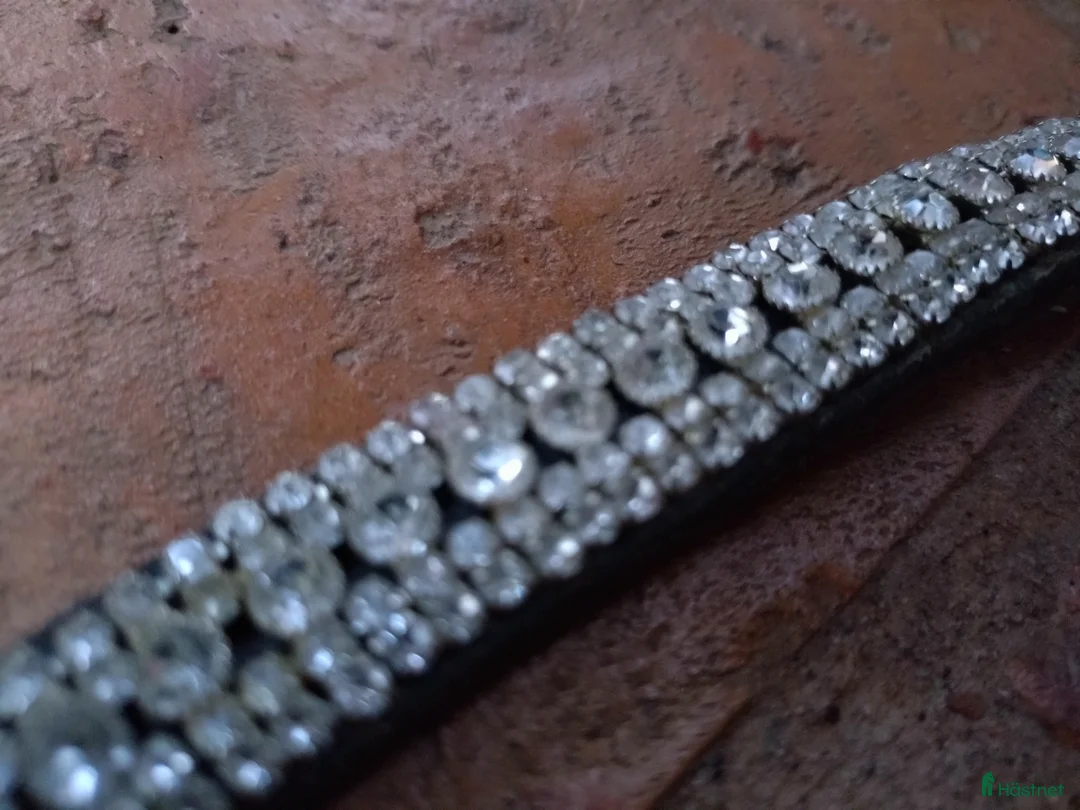 Träns hästutrustning till salu: Jätte fint fairfield pannband  - Annons 2