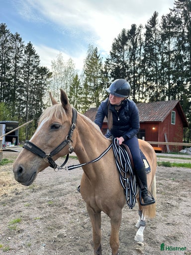 Galleribild {{count}}