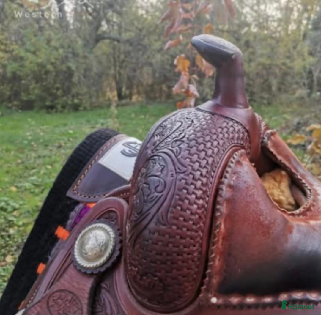 Sadlar hästutrustning till salu: Bob’s Custom  i Skien - Annons 4