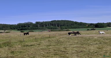  stallplats i Vallentuna - Annons 9