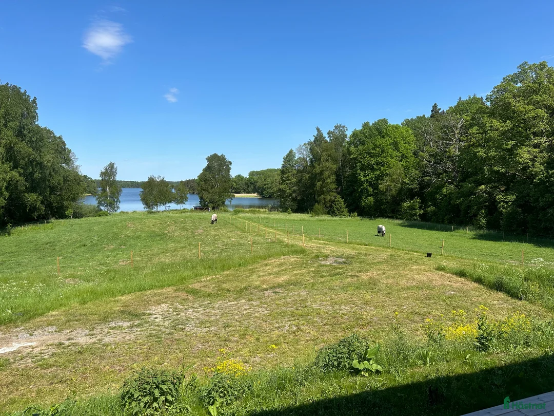  stallplats finnes: Stall uthyres!  i Huddinge - Annons 7