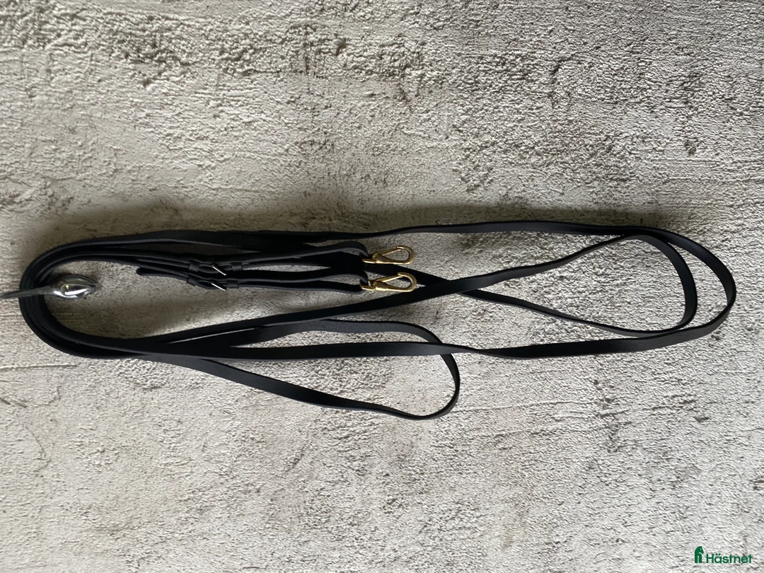 Träns hästutrustning till salu: Träns och kandar - Annons 6