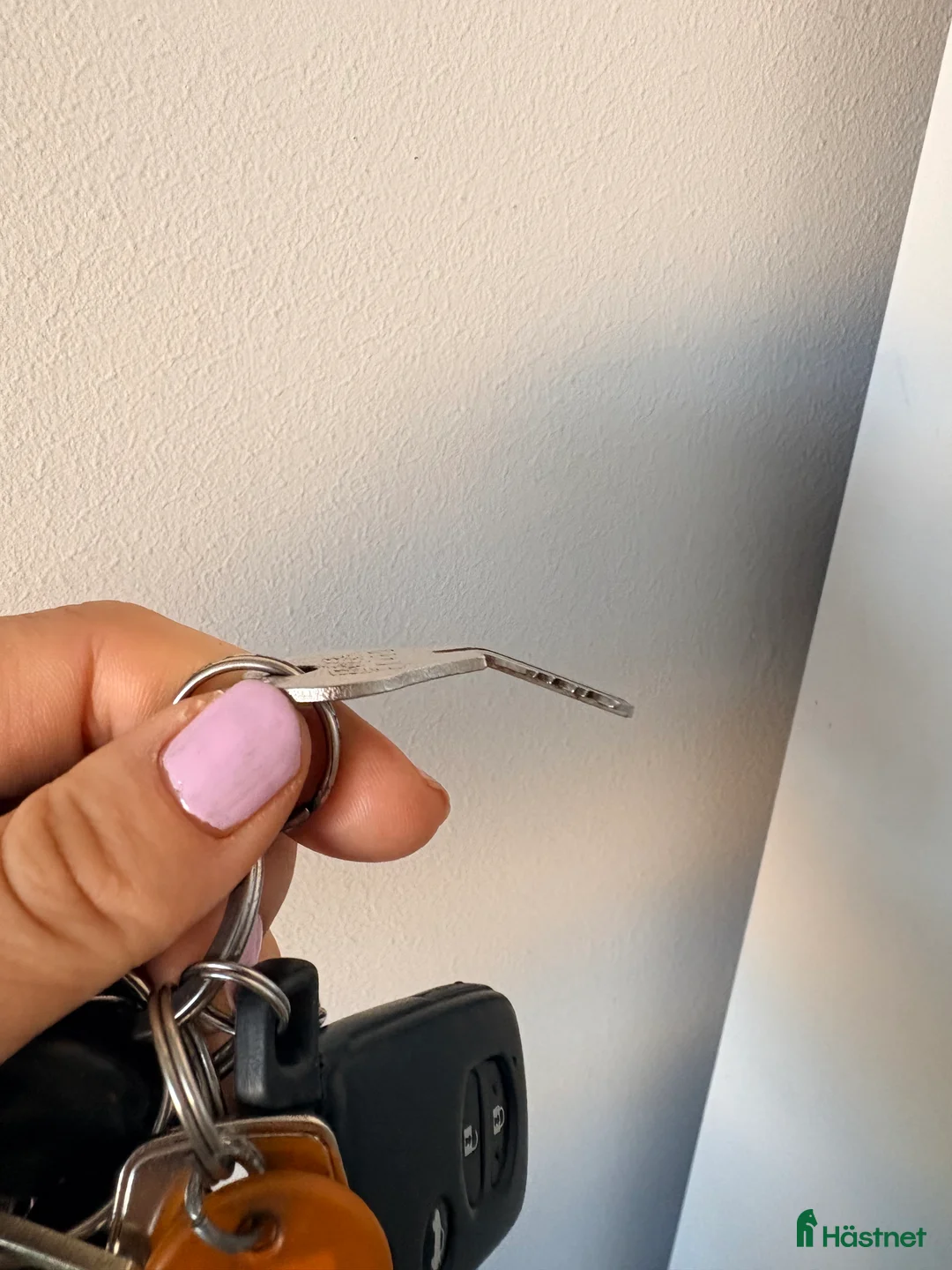 Stallinredning, stängsel & gård övrig utrustning till salu: Sadelskåp i plåt  - Annons 4