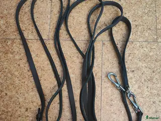 Övrig Hästutrustning hästutrustning Dyon och Iconic - martingal och graman, bruna - Annons 9