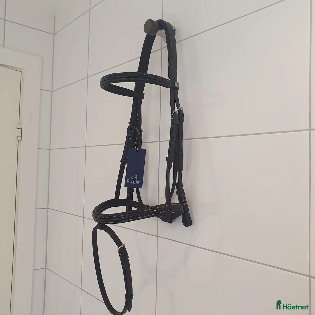 Träns hästutrustning till salu: Prestige aachenträns Full  - Annons 1