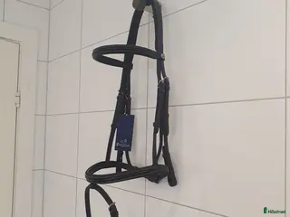 Träns hästutrustning Prestige aachenträns Full - Annons 1