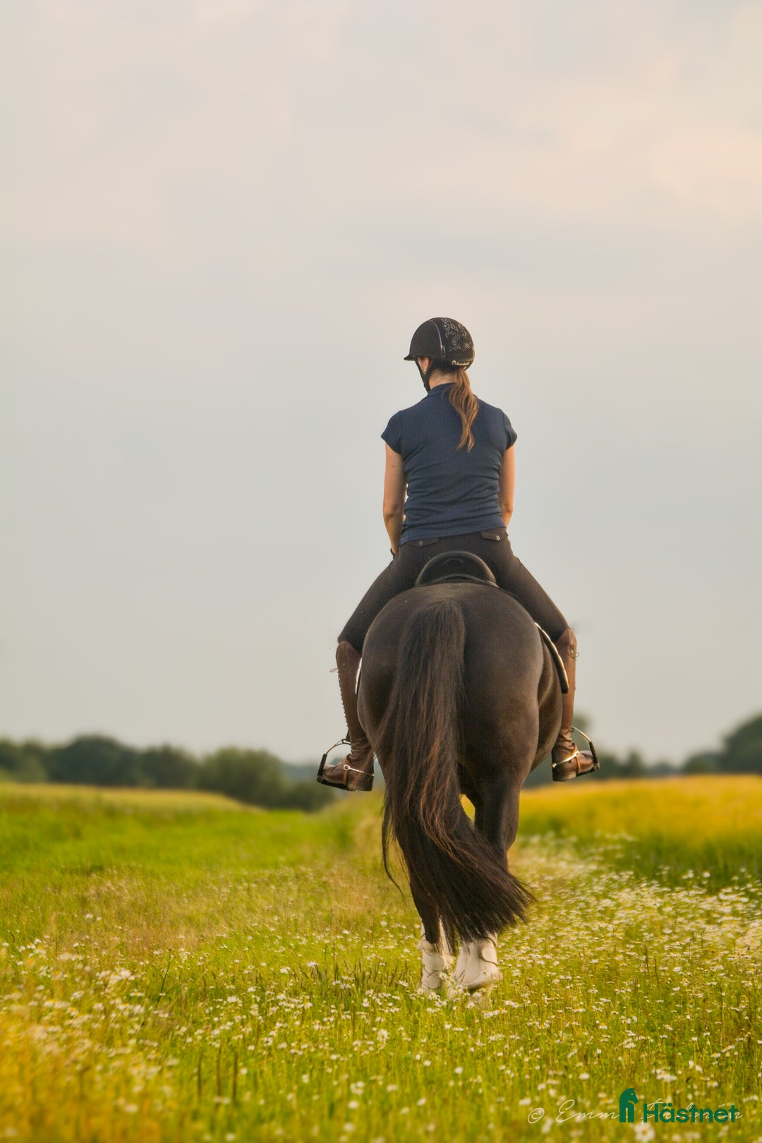 Hästinspirerad heminredning övrig utrustning till salu: Hobbyfotograf söker jobb i skåne med omnejd i Helsingborg - Bild 5
