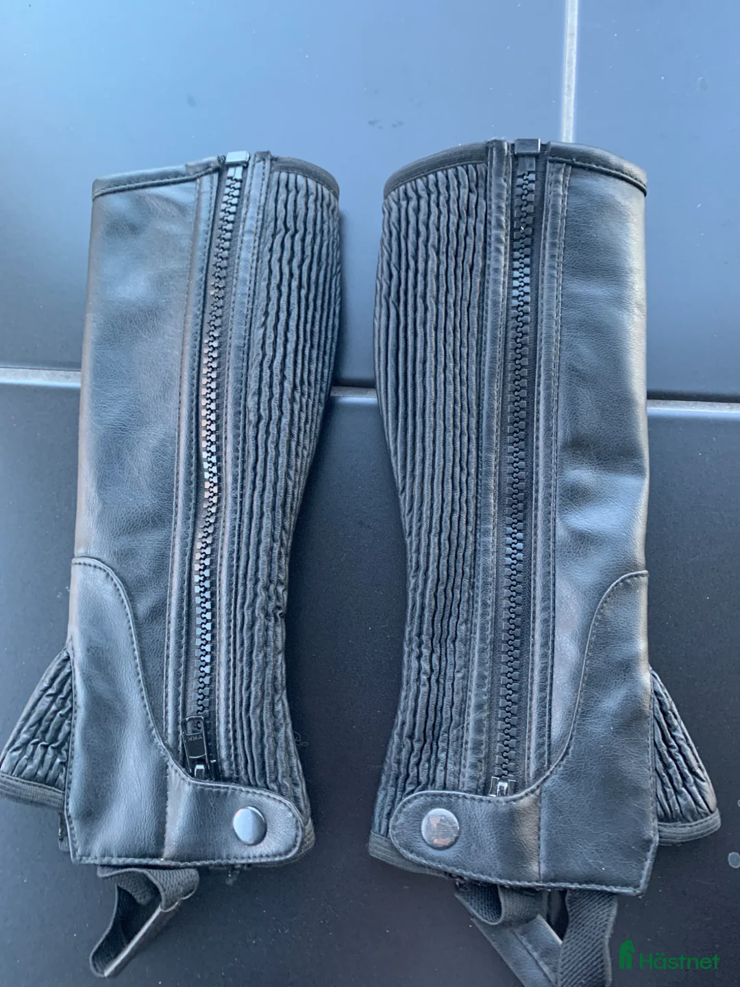 Övrigt Ridkläder ryttarutrustning till salu: Chaps 290 + Frakt - Annons 1