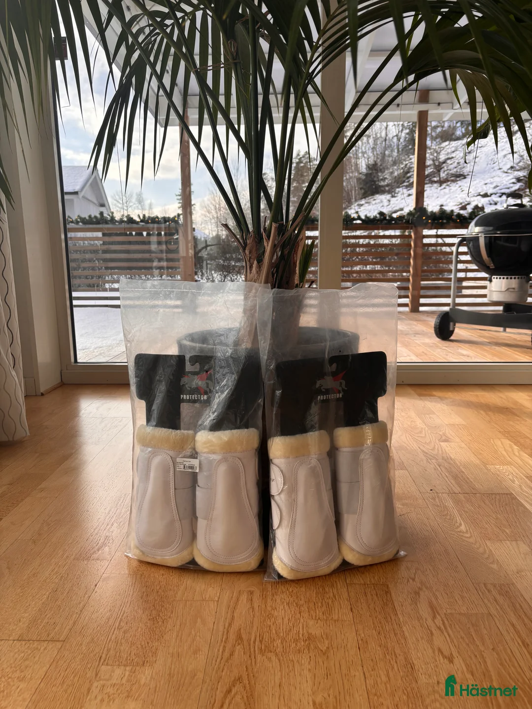 Benskydd hästutrustning till salu: Protector damasker  - Annons 2