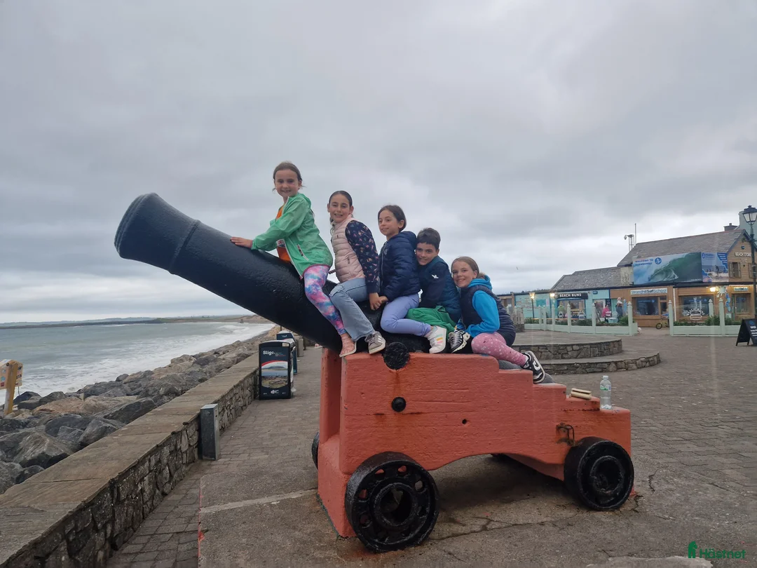 Dressyr hästar till salu: Equestrian holiday in Ireland  - Annons 19