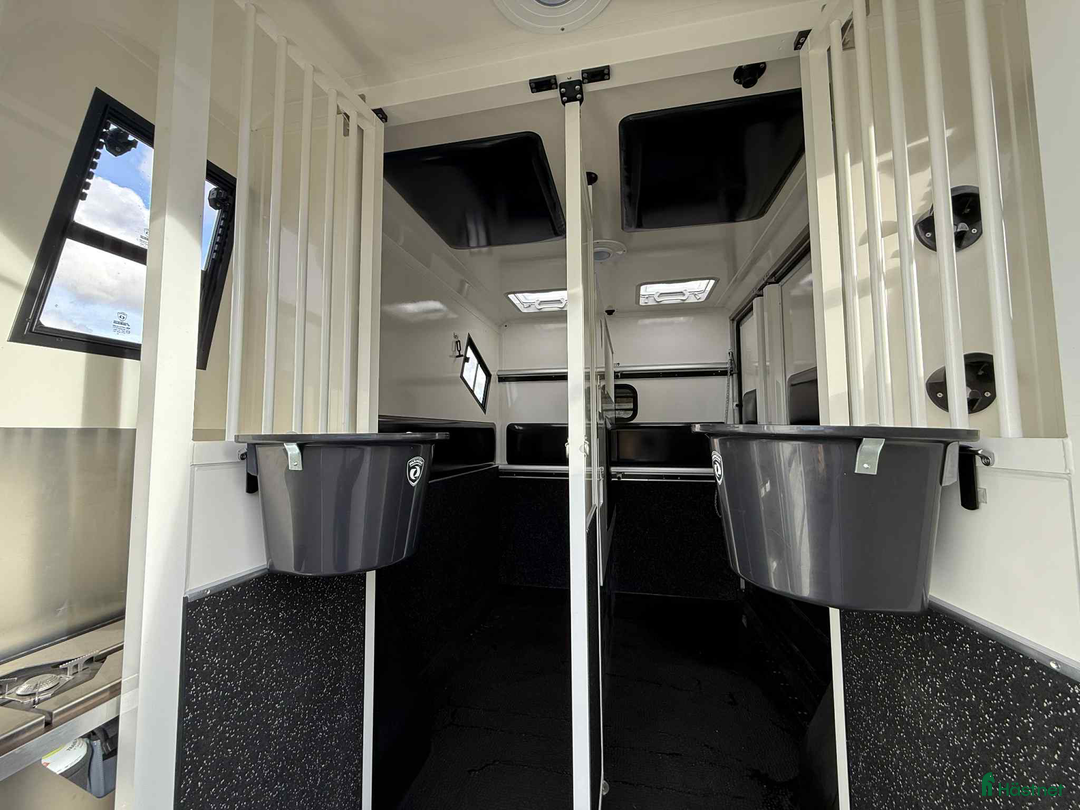 Hästlastbilar  fordon & transport till salu: PARAGAN GRAND PRESTIGE  i Köping - Annons 14