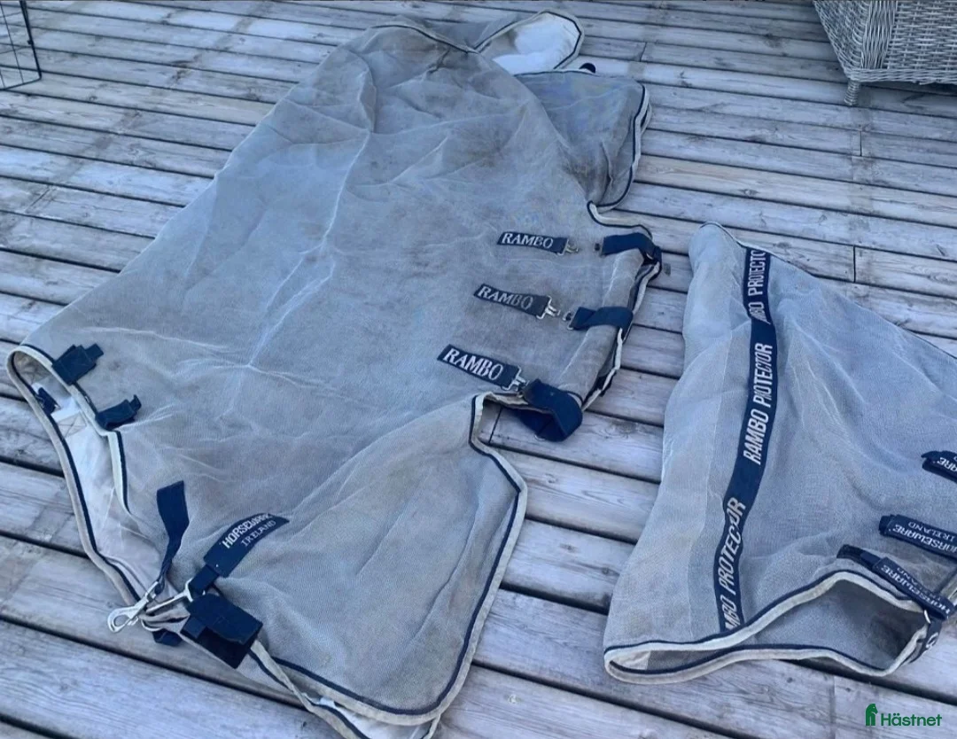 Täcken hästutrustning till salu: Rambo flugtäcke protector  - Annons 2