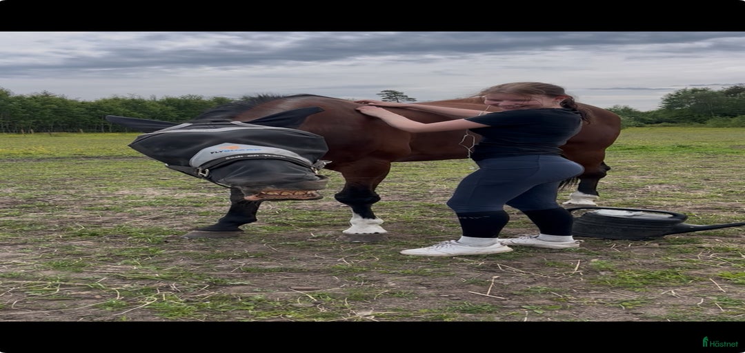 Galleribild {{count}}