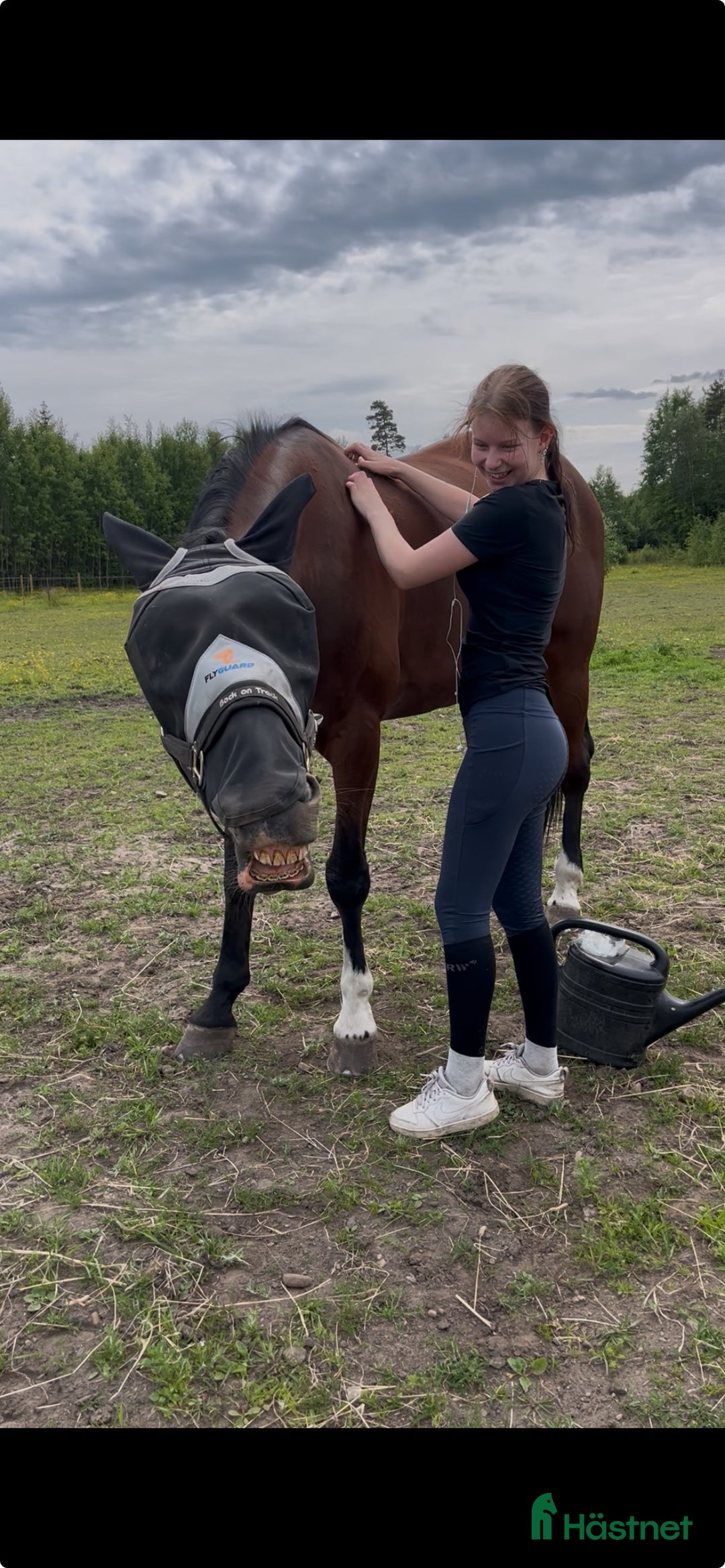 Galleribild {{count}}